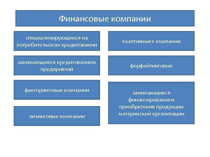 Финансовые компании специализирующиеся на потребительском кредитовании «кэптивные» компании занимающиеся кредитованием предприятий форфейтинговые факторинговые компании