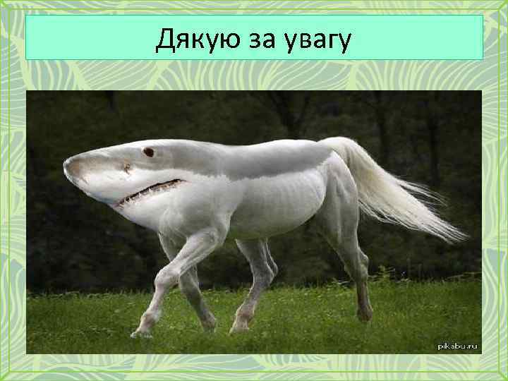 Дякую за увагу 