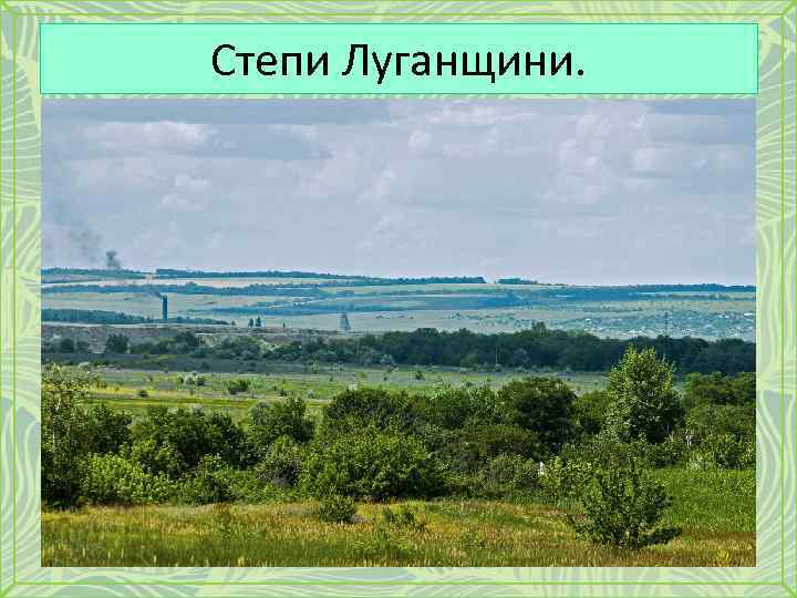 Степи Луганщини. 