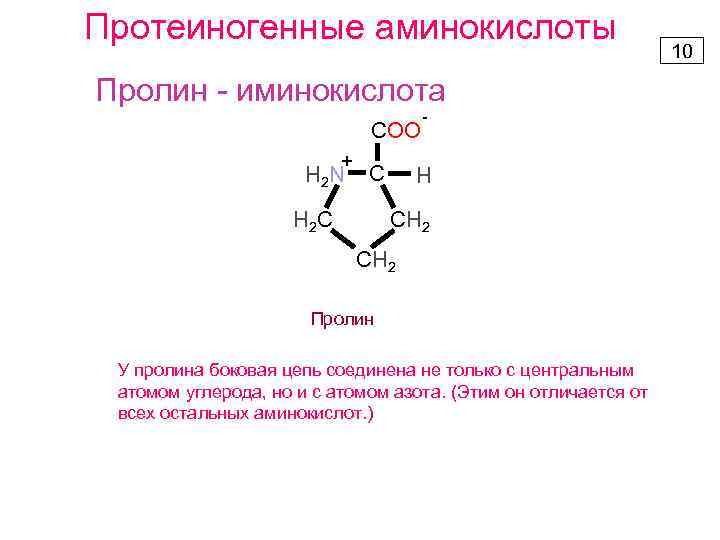 Протеиногенные аминокислоты Пролин - иминокислота COO + H 2 N C Н 2 С