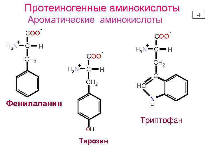 Протеиногенные аминокислоты Ароматические аминокислоты COO + H 3 N C - COO + H