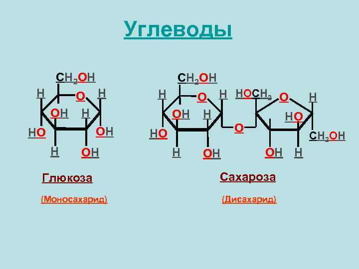 Углеводы CH 2 OH H OH HO H OH CH 2 OH H O