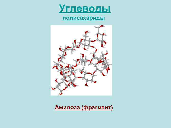 Углеводы полисахариды Амилоза (фрагмент) 