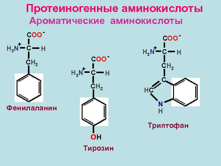 План по биохимии