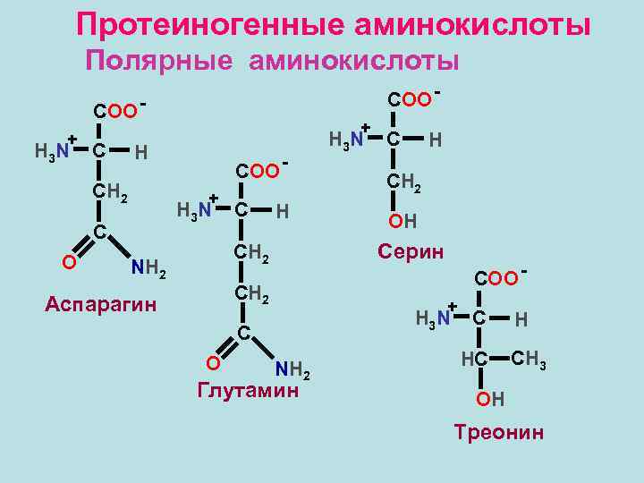 План по биохимии