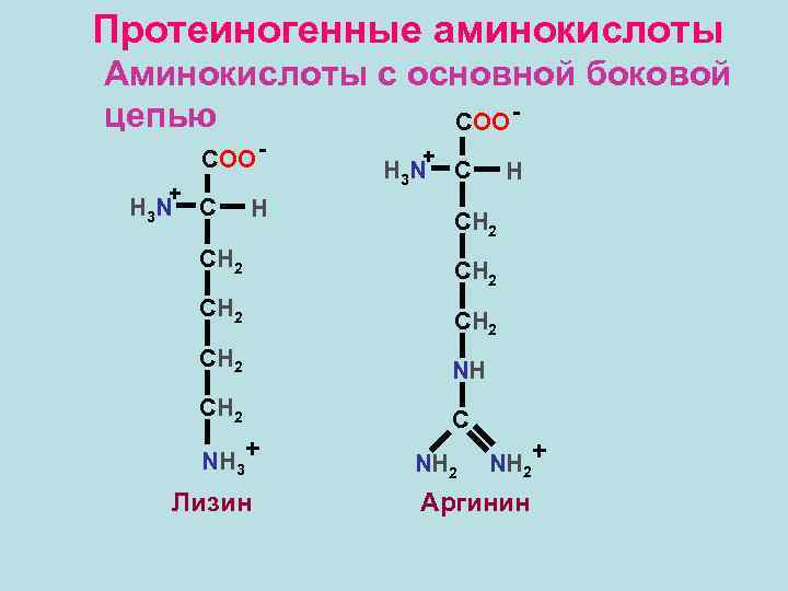 План по биохимии