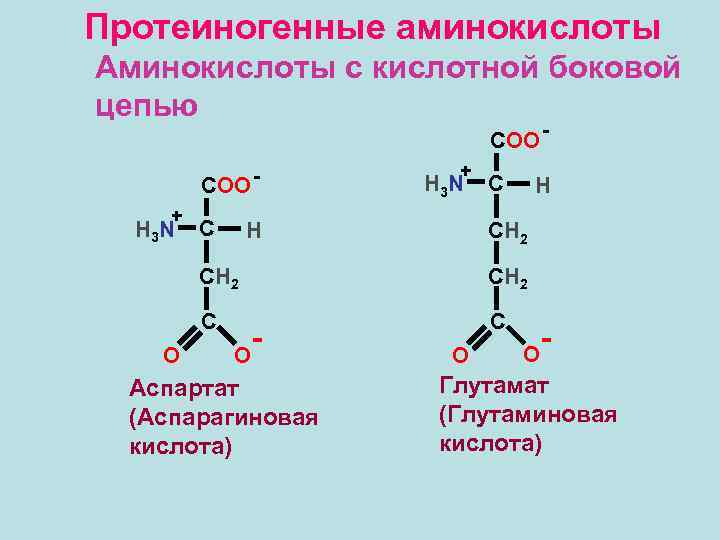 Аспартат