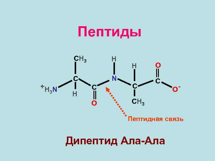 План по биохимии