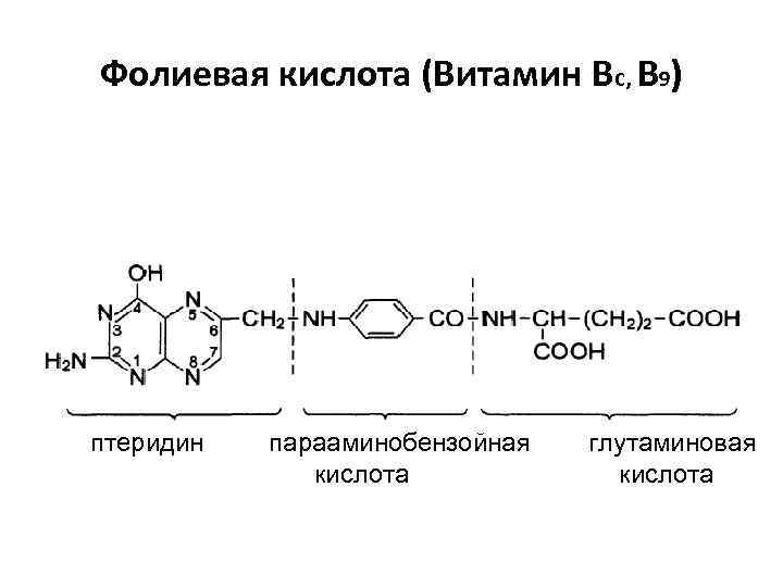 Фолиевая кислота (Витамин Вс, В 9) птеридин парааминобензойная кислота глутаминовая кислота 