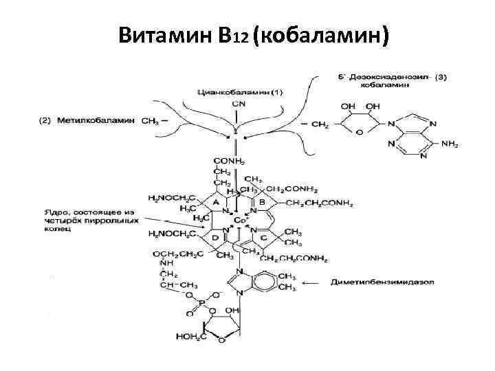 Витамин В 12 (кобаламин) 