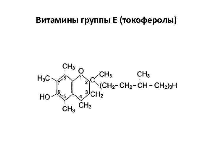Витамины группы Е (токоферолы) 