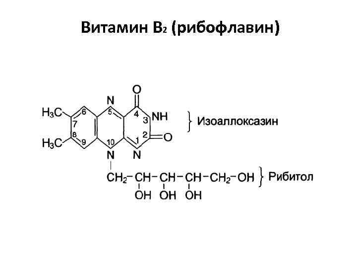 Витамин б 2