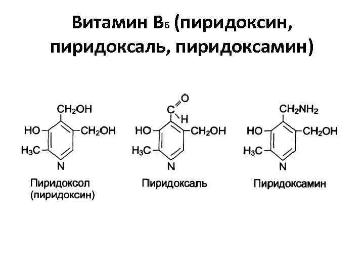 B6 пиридоксин