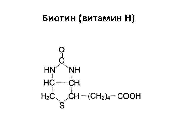 Биотин (витамин Н) 