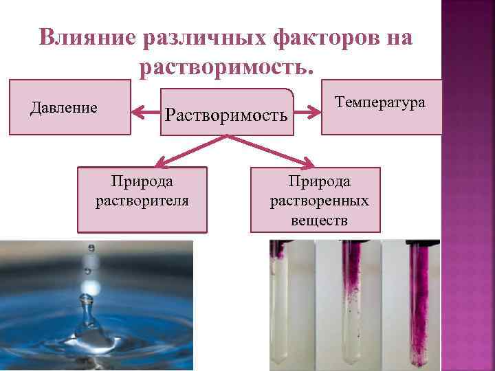 Влияние различных факторов на растворимость. Давление Растворимость Природа растворителя Температура Природа растворенных веществ 