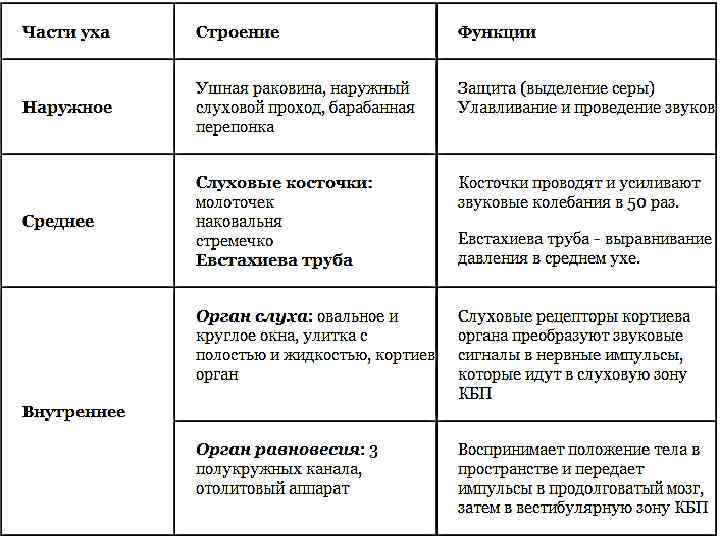 Функции органов чувств. Орган чувств место расположения особенности строения функции. Таблица анализатор органы и функции. Органы осязания обоняния вкуса таблица. Таблица по биологии 8 класс анализаторы строение и функции.