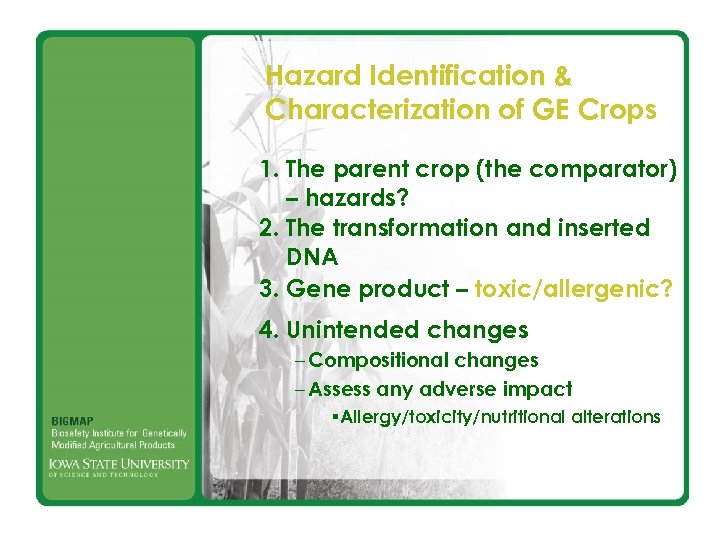 Hazard Identification & Characterization of GE Crops 1. The parent crop (the comparator) –