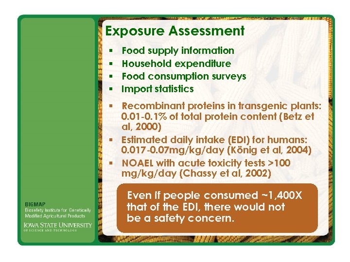 Exposure Assessment § § Food supply information Household expenditure Food consumption surveys Import statistics