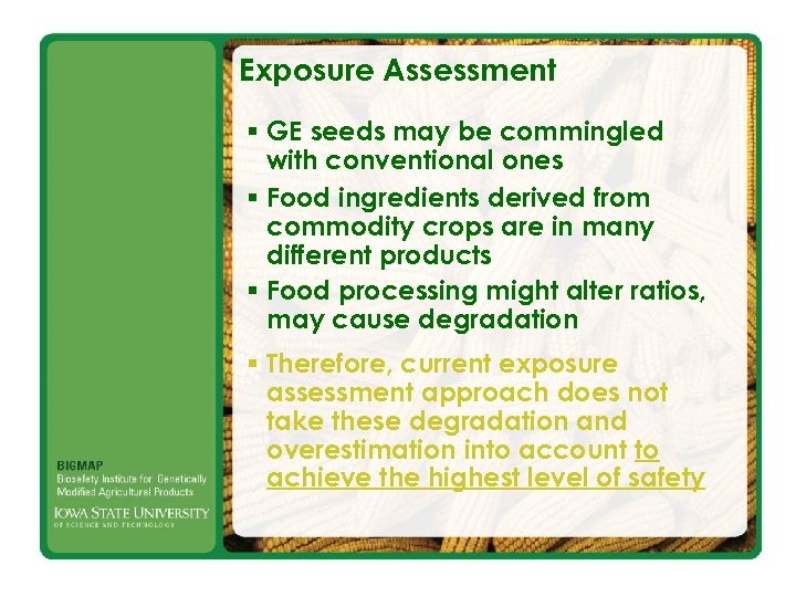 Exposure Assessment § GE seeds may be commingled with conventional ones § Food ingredients