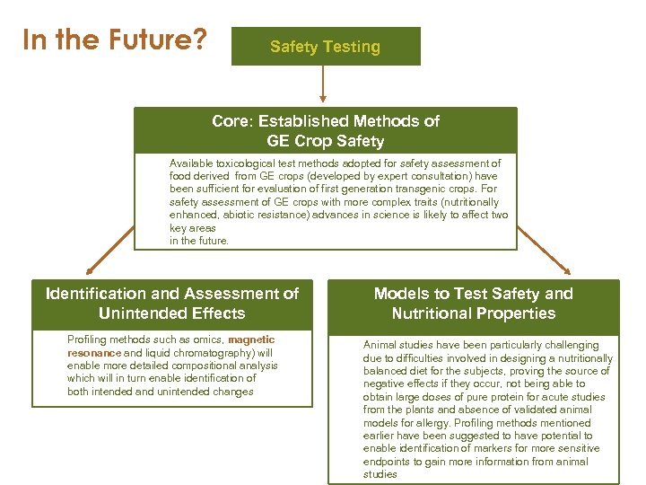 In the Future? Safety Testing Core: Established Methods of GE Crop Safety Available toxicological