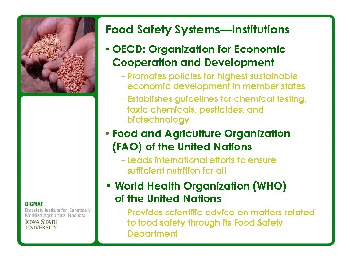 Food Safety Systems—Institutions • OECD: Organization for Economic Cooperation and Development – Promotes policies