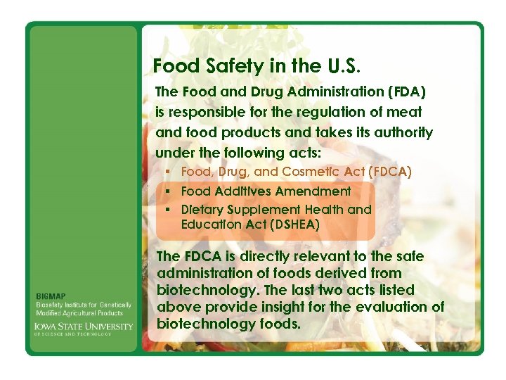 Food Safety in the U. S. The Food and Drug Administration (FDA) is responsible