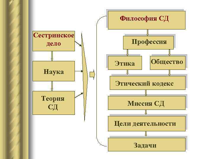 Теория сестринского дела философия сестринского дела