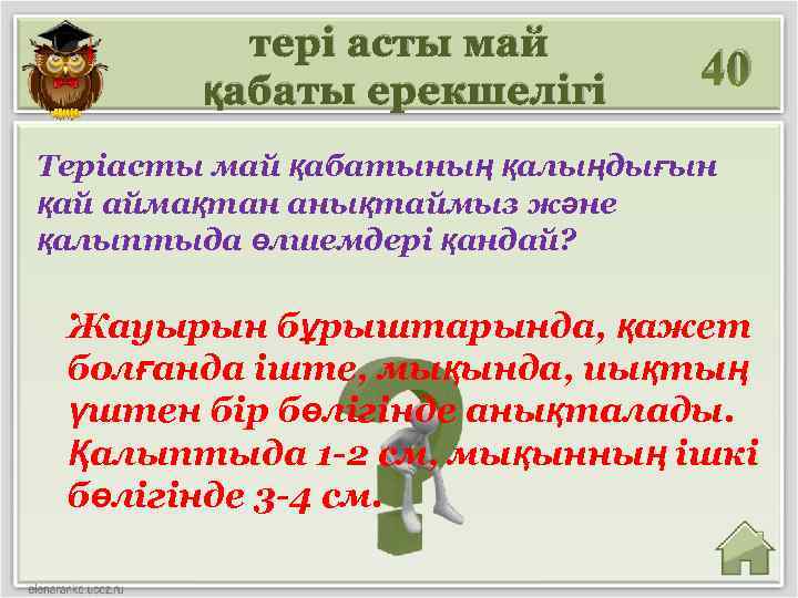 тері асты май қабаты ерекшелігі 40 Теріасты май қабатының қалыңдығын қай аймақтан анықтаймыз және