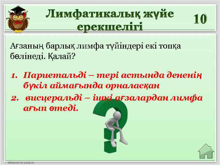 Лимфатикалық жүйе ерекшелігі 10 Ағзаның барлық лимфа түйіндері екі топқа бөлінеді. Қалай? 1. Париетальді