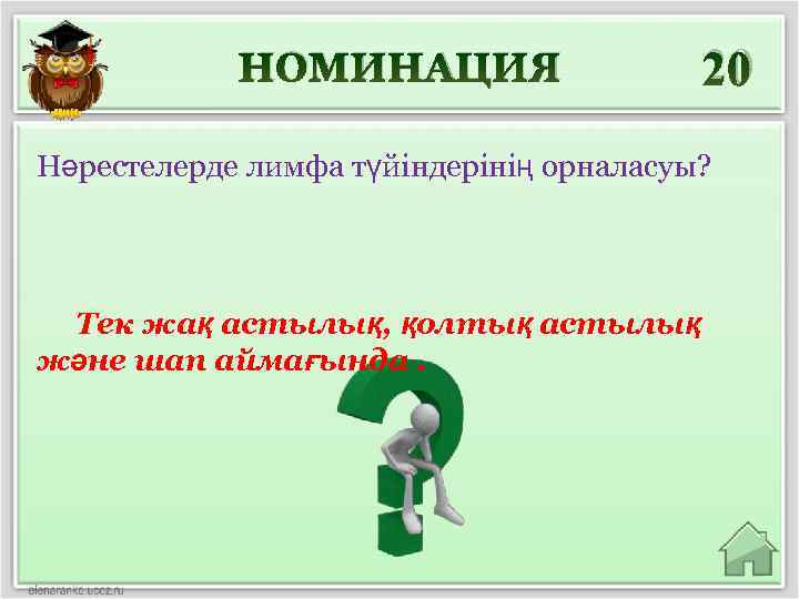 НОМИНАЦИЯ 20 Нәрестелерде лимфа түйіндерінің орналасуы? Тек жақ астылық, қолтық астылық және шап аймағында.