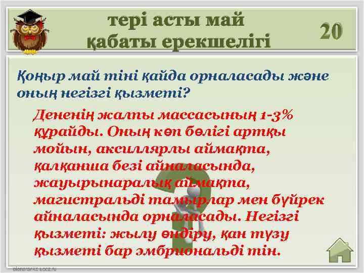 тері асты май қабаты ерекшелігі 20 Қоңыр май тіні қайда орналасады және оның негізгі