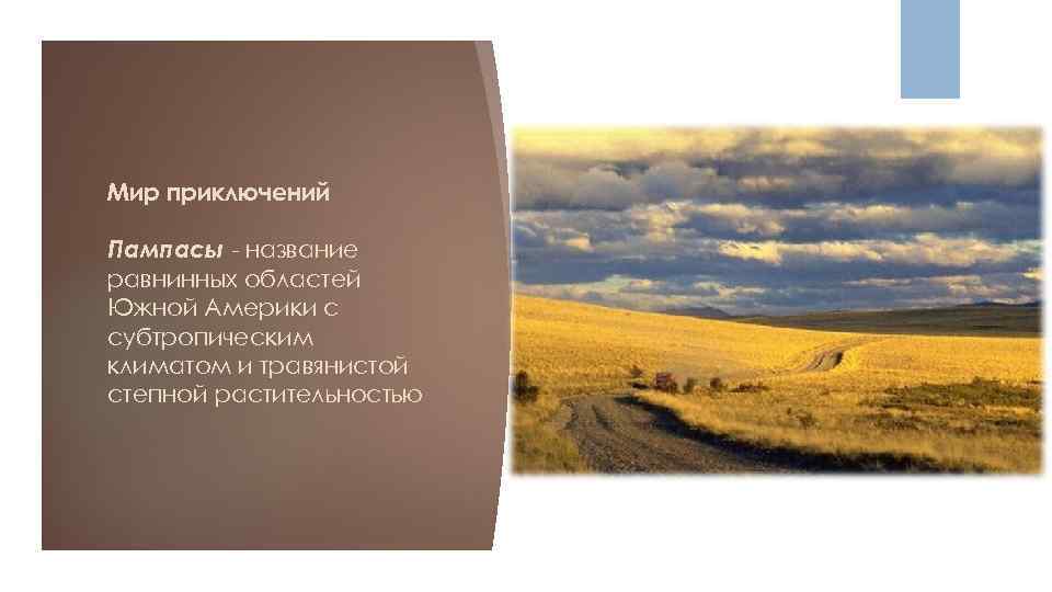 Мир приключений Пампасы - название равнинных областей Южной Америки с субтропическим климатом и травянистой