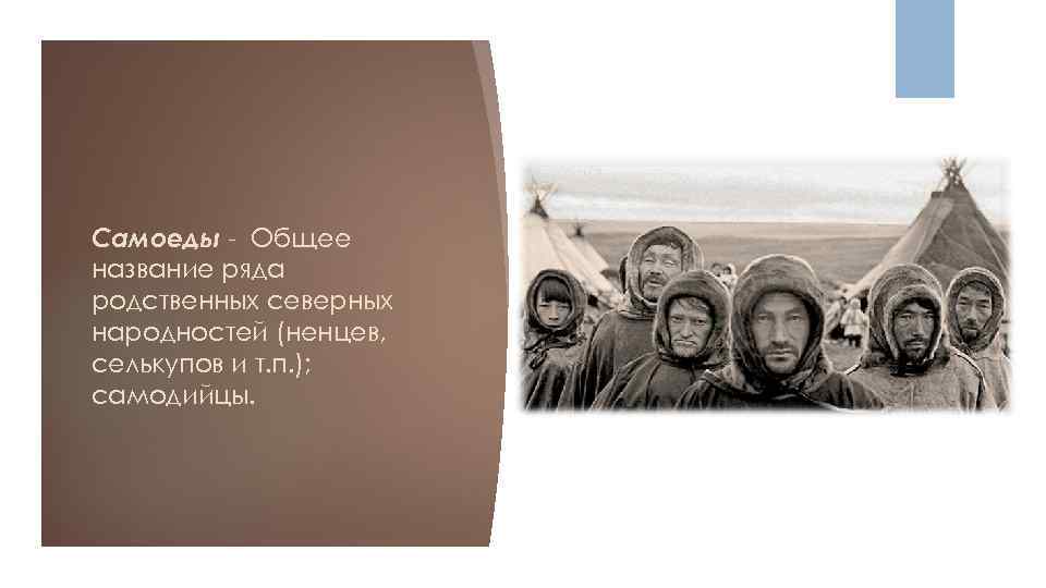 Самоеды - Общее название ряда родственных северных народностей (ненцев, селькупов и т. п. );