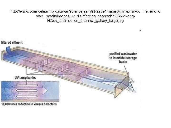 http: //www. sciencelearn. org. nz/var/sciencelearn/storage/images/contexts/you_me_and_u v/sci_media/images/uv_disinfection_channel/72022 -1 -eng. NZ/uv_disinfection_channel_gallery_large. jpg 