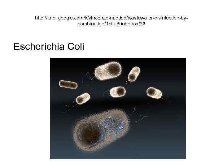 http: //knol. google. com/k/vincenzo-naddeo/wastewater-disinfection-bycombination/1 hiut 89 uhepox/3# Escherichia Coli 