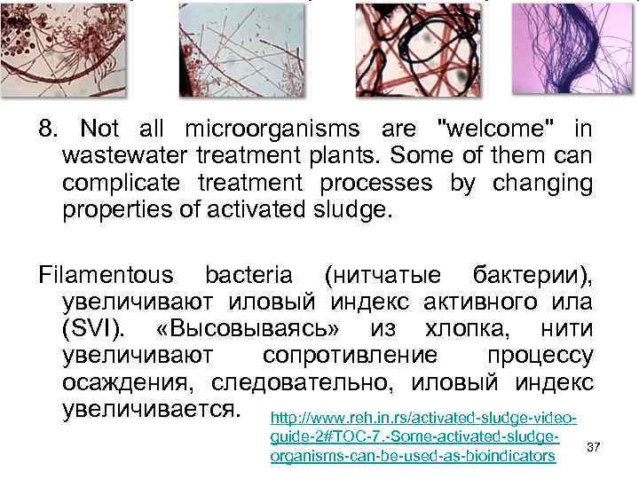 8. Not all microorganisms are "welcome" in wastewater treatment plants. Some of them can