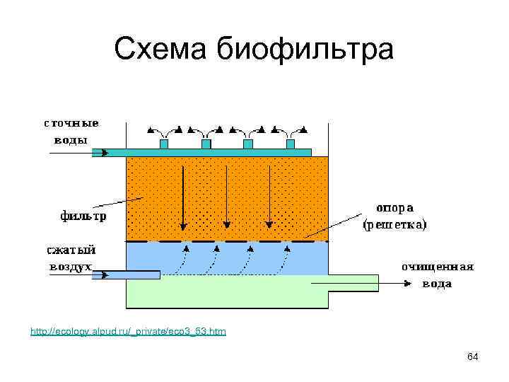 Схема биофильтра http: //ecology. alpud. ru/_private/eco 3_53. htm 64 