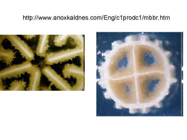 http: //www. anoxkaldnes. com/Eng/c 1 prodc 1/mbbr. htm 