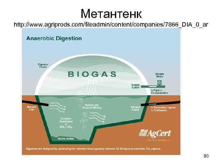 Метантенк http: //www. agriprods. com/fileadmin/content/companies/7866_DIA_0_ar t_digestor_013. jpg 80 