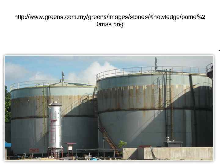 http: //www. greens. com. my/greens/images/stories/Knowledge/pome%2 0 mas. png 82 