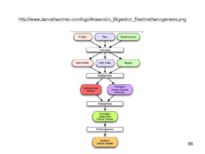 http: //www. dancehammer. com/bgp/Anaerobic_Digestion_files/methanogenesis. png 88 