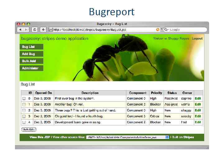 Bugreport 