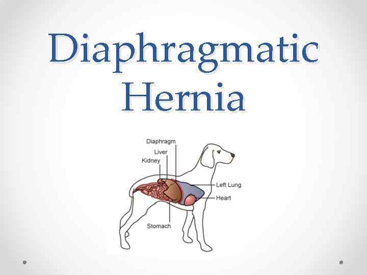 Diaphragmatic Hernia 