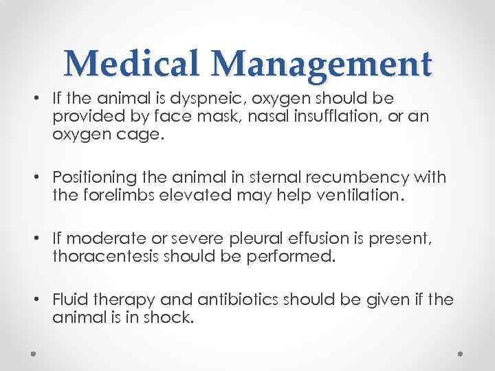 Medical Management • If the animal is dyspneic, oxygen should be provided by face