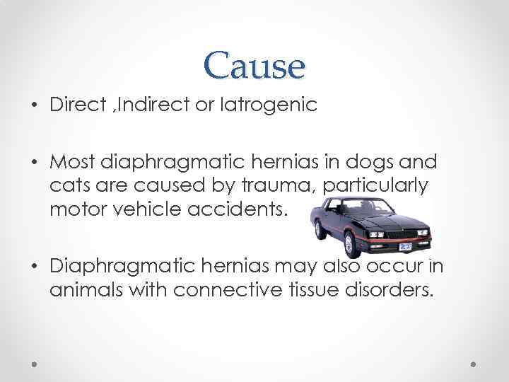 Cause • Direct , Indirect or Iatrogenic • Most diaphragmatic hernias in dogs and