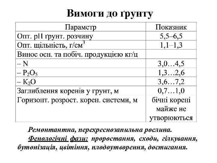 Вимоги до ґрунту Ремонтантна, перехреснозапильна рослина. Фенологічні фази: проростання, сходи, гілкування, бутонізація, цвітіння, плодоутворення,