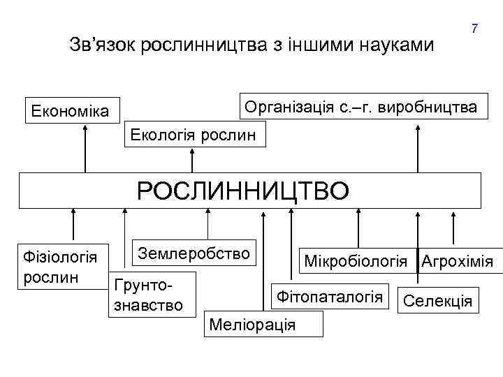 Зв’язок рослинництва з іншими науками Економіка 7 Організація с. –г. виробництва Екологія рослин РОСЛИННИЦТВО