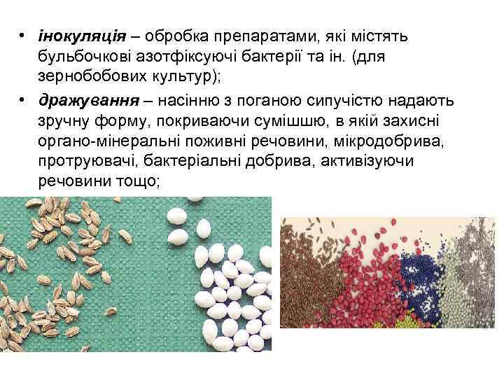  • інокуляція – обробка препаратами, які містять бульбочкові азотфіксуючі бактерії та ін. (для