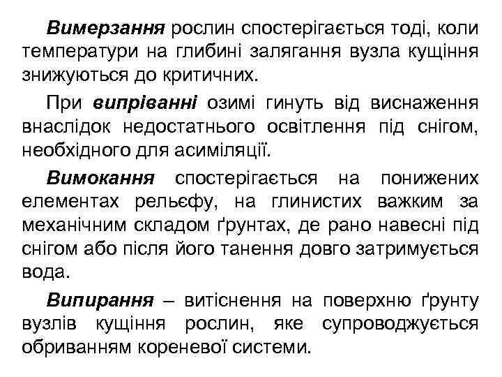 Вимерзання рослин спостерігається тоді, коли температури на глибині залягання вузла кущіння знижуються до критичних.