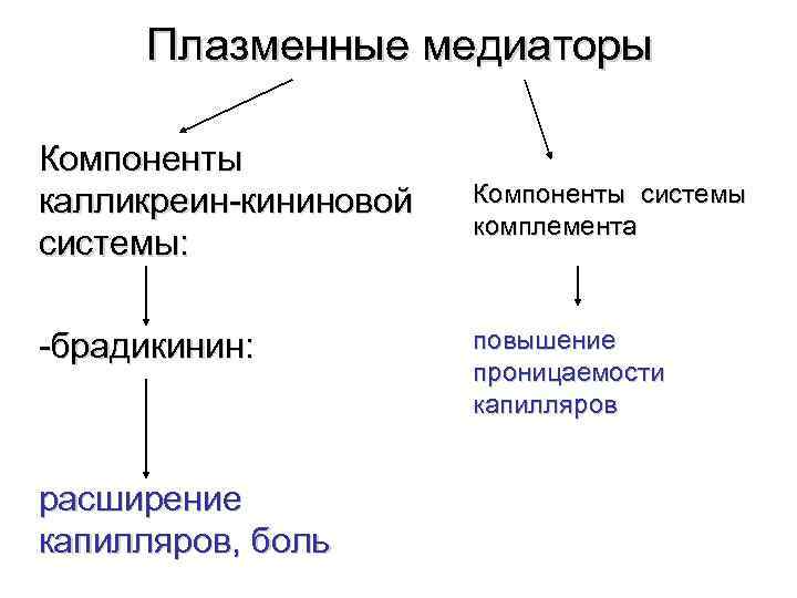 Плазменные медиаторы Компоненты калликреин-кининовой системы: -брадикинин: расширение капилляров, боль Компоненты системы комплемента повышение проницаемости